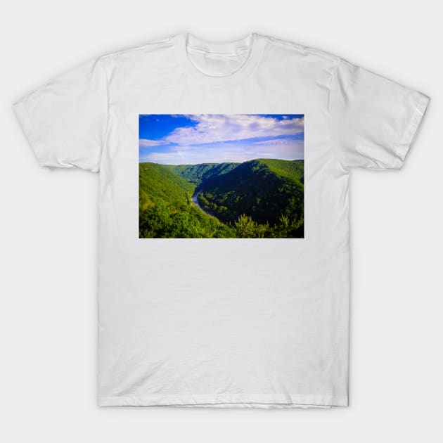 New River Gorge T-Shirt by PaulLu